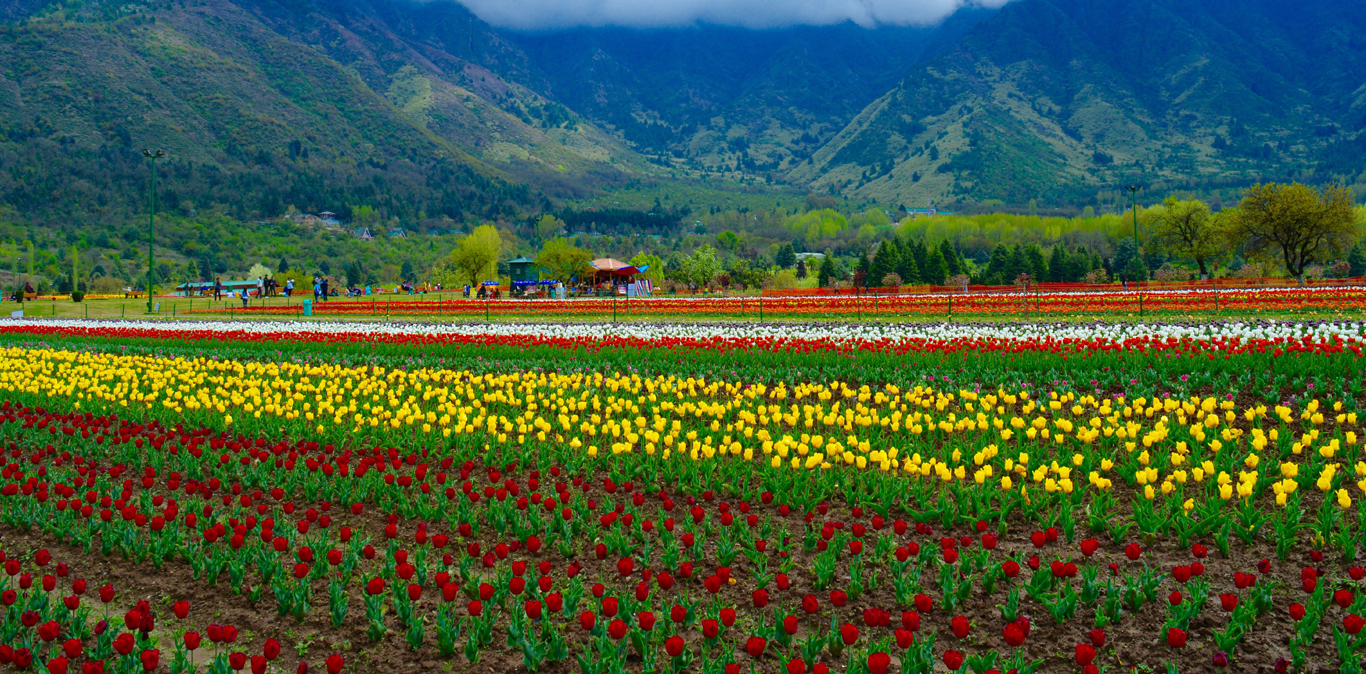 Himachal